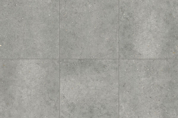  Topcollection Anima Outdoor Grigio 80x80x2 cm Terrastegel Mat Gestructureerd Naturale CVPF60012098 | 272088