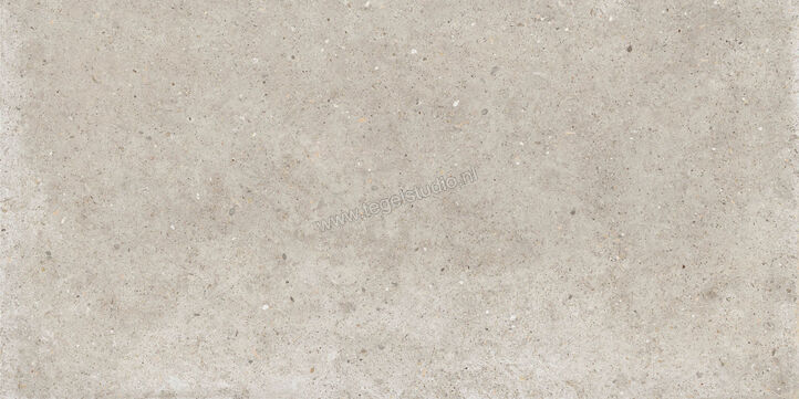  Topcollection Anima Outdoor Beige 60x120x2 cm Terrastegel Mat Gestructureerd Naturale CVPF60006354 | 272091
