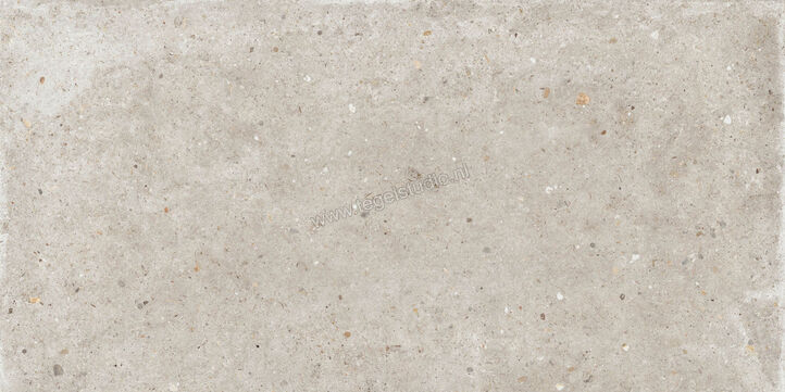 Topcollection Anima Outdoor Beige 60x120x2 cm Terrastegel Mat Gestructureerd Naturale CVPF60006354 | 272103