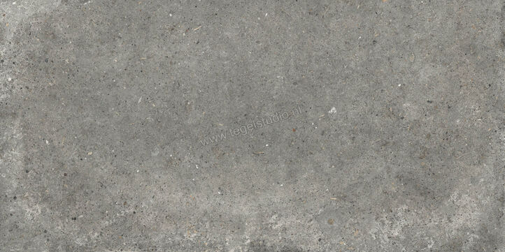  Topcollection Anima Outdoor Fango 60x120x2 cm Terrastegel Mat Gestructureerd Naturale CVPF60006355 | 272112