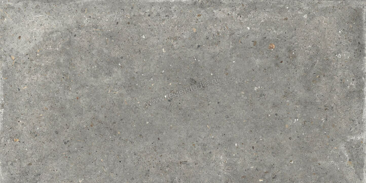  Topcollection Anima Outdoor Fango 60x120x2 cm Terrastegel Mat Gestructureerd Naturale CVPF60006355 | 272118
