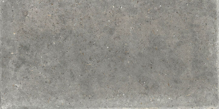  Topcollection Anima Outdoor Fango 60x120x2 cm Terrastegel Mat Gestructureerd Naturale CVPF60006355 | 272121