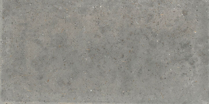  Topcollection Anima Outdoor Fango 60x120x2 cm Terrastegel Mat Gestructureerd Naturale CVPF60006355 | 272124