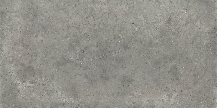  Topcollection Anima Outdoor Fango 60x120x2 cm Terrastegel Mat Gestructureerd Naturale CVPF60006355 | 272127