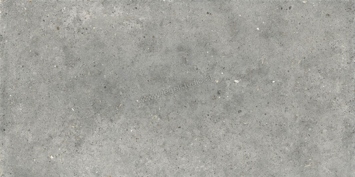  Topcollection Anima Outdoor Grigio 60x120x2 cm Terrastegel Mat Gestructureerd Naturale CVPF60006356 | 272136