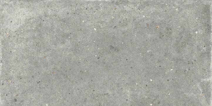  Topcollection Anima Outdoor Grigio 60x120x2 cm Terrastegel Mat Gestructureerd Naturale CVPF60006356 | 272142