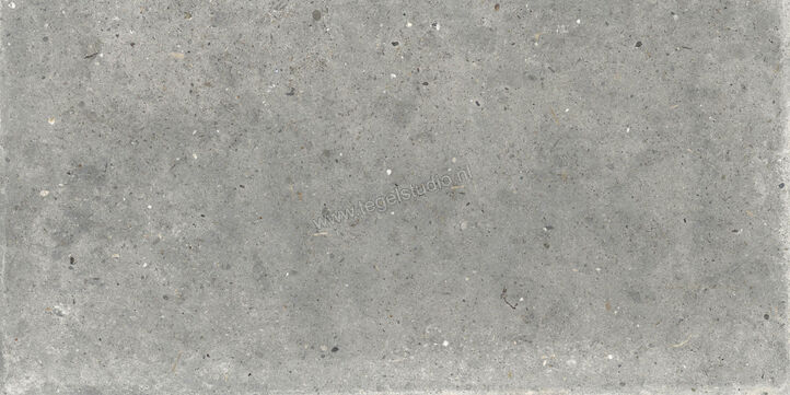  Topcollection Anima Outdoor Grigio 60x120x2 cm Terrastegel Mat Gestructureerd Naturale CVPF60006356 | 272145
