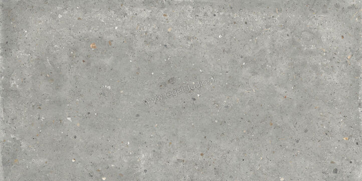  Topcollection Anima Outdoor Grigio 60x120x2 cm Terrastegel Mat Gestructureerd Naturale CVPF60006356 | 272148