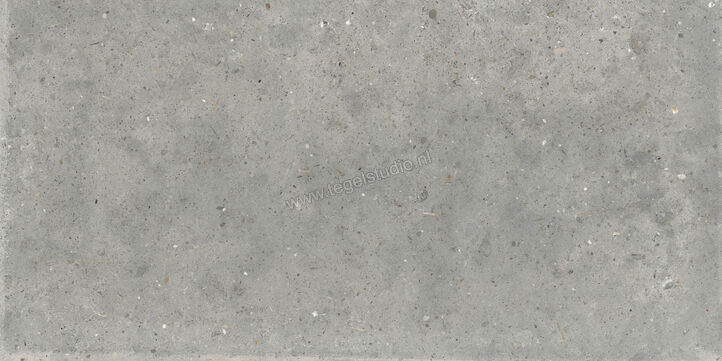  Topcollection Anima Outdoor Grigio 60x120x2 cm Terrastegel Mat Gestructureerd Naturale CVPF60006356 | 272151