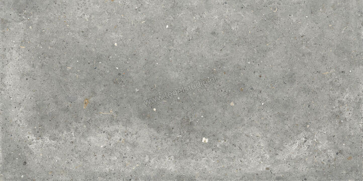  Topcollection Anima Outdoor Grigio 60x120x2 cm Terrastegel Mat Gestructureerd Naturale CVPF60006356 | 272154