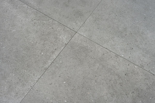  Topcollection Anima Outdoor Grigio 60x120x2 cm Terrastegel Mat Gestructureerd Naturale CVPF60006356 | 272157