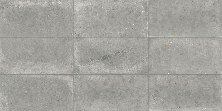  Topcollection Anima Outdoor Grigio 60x120x2 cm Terrastegel Mat Gestructureerd Naturale CVPF60006356 | 272160