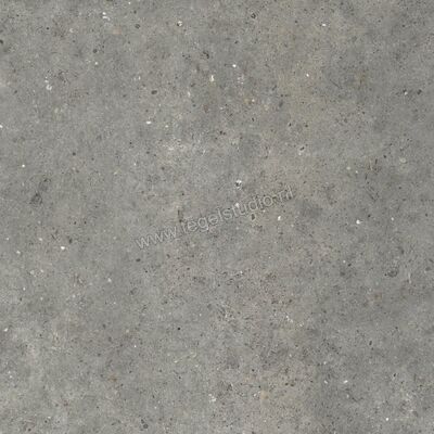  Topcollection Anima Outdoor Fango 80x80x2 cm Terrastegel Mat Gestructureerd Naturale CVPF60012097 | 272166
