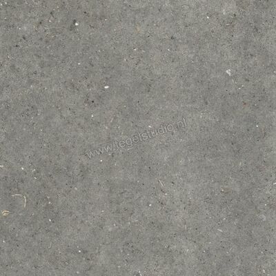  Topcollection Anima Outdoor Fango 80x80x2 cm Terrastegel Mat Gestructureerd Naturale CVPF60012097 | 272172