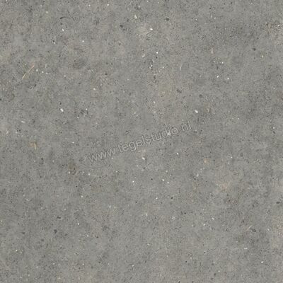 Topcollection Anima Outdoor Fango 80x80x2 cm Terrastegel Mat Gestructureerd Naturale CVPF60012097 | 272175