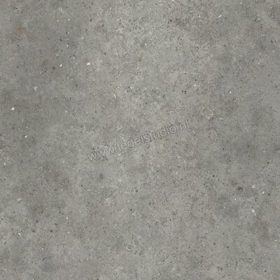  Topcollection Anima Outdoor Fango 80x80x2 cm Terrastegel Mat Gestructureerd Naturale CVPF60012097 | 272181
