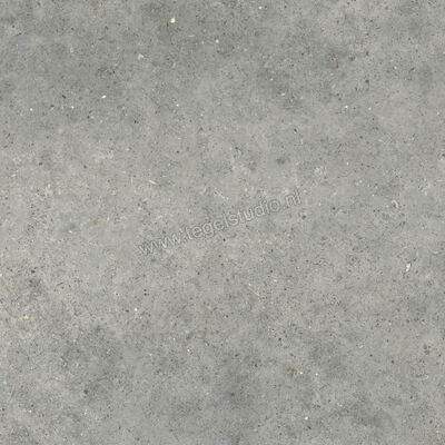  Topcollection Anima Outdoor Grigio 80x80x2 cm Terrastegel Mat Gestructureerd Naturale CVPF60012098 | 272208