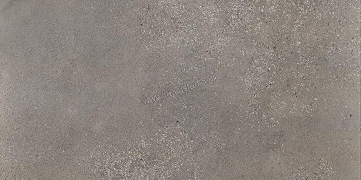  Fioranese I Cocci Cemento 30x60 cm Vloertegel / Wandtegel Mat Gestructureerd Naturale IC360R | 273957