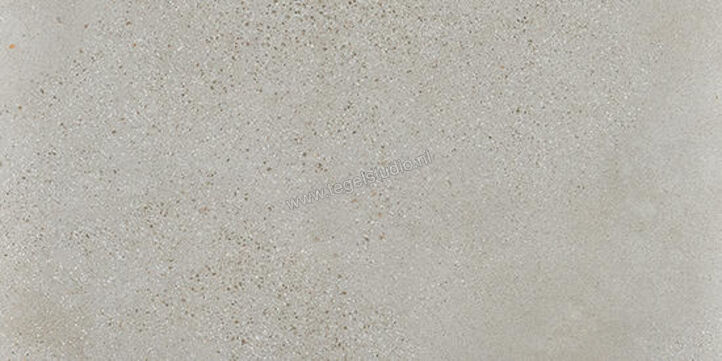  Fioranese I Cocci Cenere 60x120 cm Vloertegel / Wandtegel Mat Gestructureerd Naturale IC623R | 273963