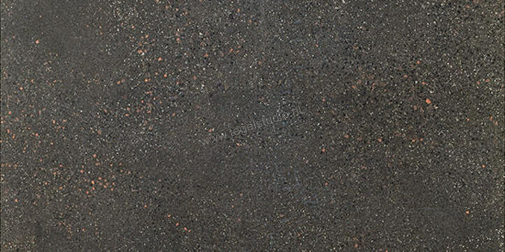  Fioranese I Cocci Grafite 60x120 cm Vloertegel / Wandtegel Mat Gestructureerd Naturale IC627R | 273966