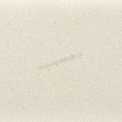  Coem Ceramiche Terrazzo Mini Caolino 30x30 cm Vloertegel / Wandtegel Glanzend Vlak Lucidato TZ301LR | 274425