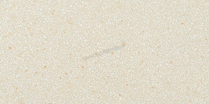  Coem Ceramiche Terrazzo Mini Caolino 60x120 cm Vloertegel / Wandtegel Glanzend Vlak Lucidato TZ621LR | 274497