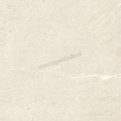 Dune Ceramica Emporio Natural 60x60 cm Vloertegel / Wandtegel Mat Vlak Naturale 187650 | 279543