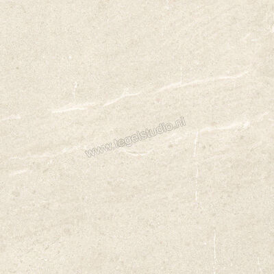 Dune Ceramica Emporio Natural 60x60 cm Vloertegel / Wandtegel Mat Vlak Naturale 187650 | 279549