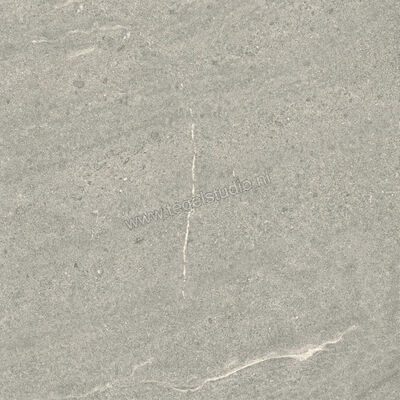Dune Ceramica Emporio Grey 60x60 cm Vloertegel / Wandtegel Mat Vlak Naturale 187651 | 279558