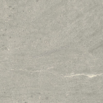 Dune Ceramica Emporio Grey 60x60 cm Vloertegel / Wandtegel Mat Vlak Naturale 187651 | 279561