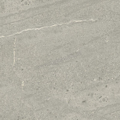 Dune Ceramica Emporio Grey 60x60 cm Vloertegel / Wandtegel Mat Vlak Naturale 187651 | 279564