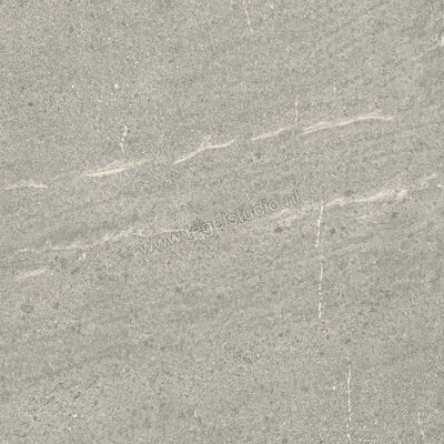 Dune Ceramica Emporio Grey 60x60 cm Vloertegel / Wandtegel Mat Vlak Naturale 187651 | 279567