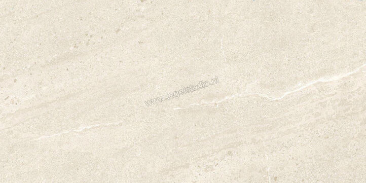 Dune Ceramica Emporio Natural 60x120 cm Vloertegel / Wandtegel Mat Vlak Naturale 187659 | 279576