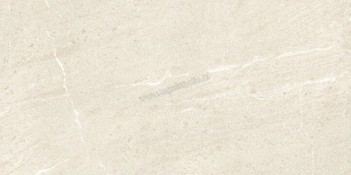 Dune Ceramica Emporio Natural 60x120 cm Vloertegel / Wandtegel Mat Vlak Naturale 187659 | 279585