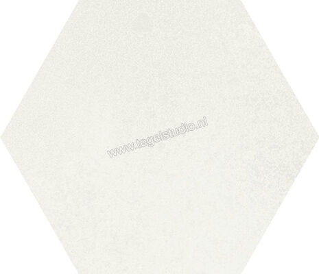Dune Ceramica Magnet Exa Frozen 15x17 cm Wandtegel Mat Vlak Naturale 188590 | 279897