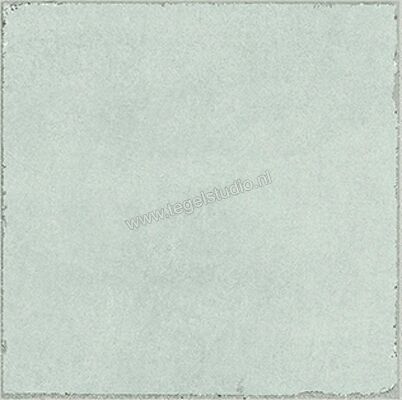  Dune Ceramica Valencia Valencia Salvia 20x20 cm Vloertegel / Wandtegel NP Mat Vlak Naturale 188472N | 280866