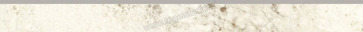 Dune Ceramica Baikal Warm 8x90 cm Plint Glanzend Vlak Gloss 188454 | 281067