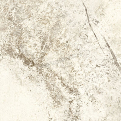 Dune Ceramica Baikal Warm 60x60 cm Vloertegel / Wandtegel Glanzend Vlak Satijn 188482 | 281094