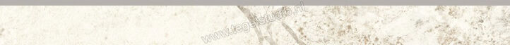 Dune Ceramica Baikal Warm Satin 8x90 cm Plint Glanzend Vlak Gloss 188489 | 281121