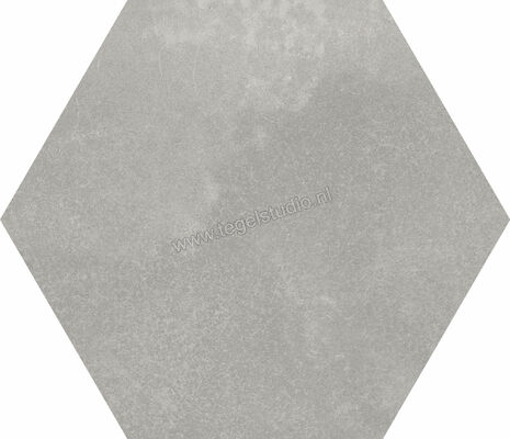 Dune Ceramica Berlin Grey 21.5x25 cm Vloertegel / Wandtegel Mat Vlak Naturale 188070 | 281484