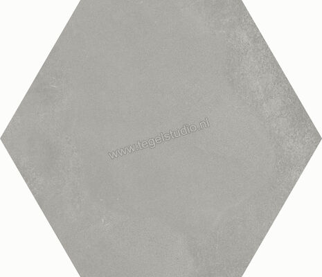 Dune Ceramica Berlin Grey 21.5x25 cm Vloertegel / Wandtegel Mat Vlak Naturale 188070 | 281487