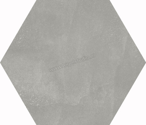 Dune Ceramica Berlin Grey 21.5x25 cm Vloertegel / Wandtegel Mat Vlak Naturale 188070 | 281490