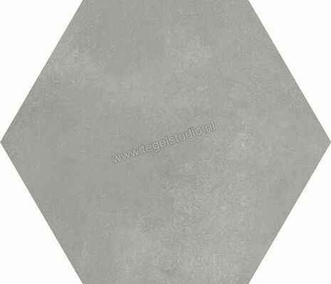 Dune Ceramica Berlin Grey 21.5x25 cm Vloertegel / Wandtegel Mat Vlak Naturale 188070 | 281493