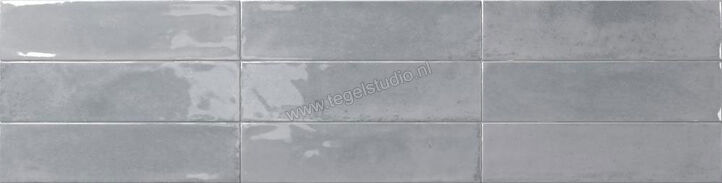  Dune Ceramica Agadir Piedra 7x28 cm Wandtegel NP Shiny Structured Gloss 188547N | 281580