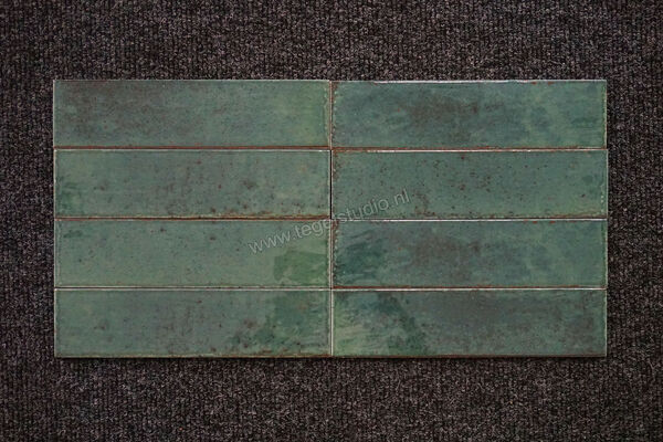  Dune Ceramica Agadir Selva 7x28 cm Wandtegel NP Shiny Structured Gloss 188570N | 281637