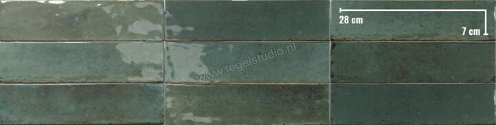  Dune Ceramica Agadir Selva 7x28 cm Wandtegel NP Shiny Structured Gloss 188570N | 281646