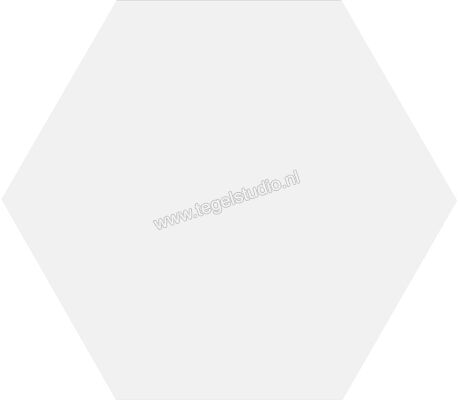 Dune Ceramica Black&White White 21.5x25 cm Vloertegel / Wandtegel Mat Vlak Naturale 188000 | 281904