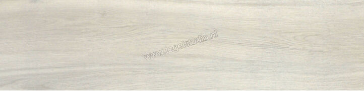 Castelvetro Naturae Aequa Nix 30x120 cm Vloertegel / Wandtegel Mat CAQ32R1 | 28319