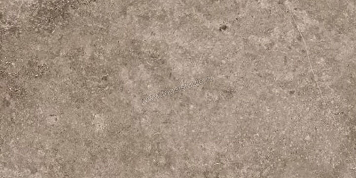 Novabell Landstone Earth 60x120x2 cm Terrastegel Mat Gestructureerd Naturale LST69RT | 290993