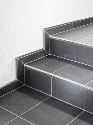 Schlüter Systems TREP-FL-AE Trapprofiel Aluminium AE - Alu. bruut
mat geanodiseerd Sterkte: 9 mm Lengte: 2,5 m FL90AE | 291320